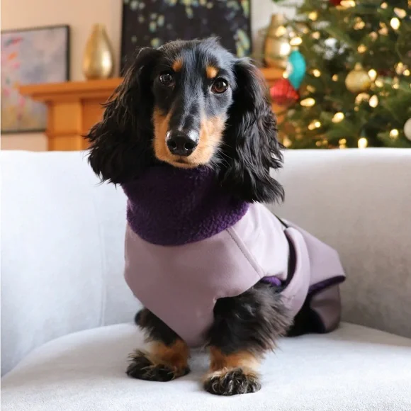 Longboi Purple Dog Coat - Picture 1 of 6